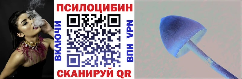 Псилоцибиновые грибы Psilocybine cubensis Купить Харовск